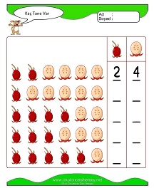 Kaç Tane Var Çalışma Sayfaları